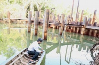 Xâm nhập mặn ở Đồng bằng sông Cửu Long có xu thế giảm dần