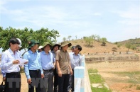Tìm giải pháp ứng phó với hạn hán nặng nề tại Bình Thuận