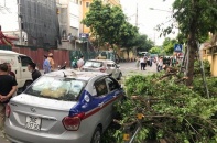 Hà Nội: Cành cây xà cừ lớn gãy, làm hỏng 3 xế hộp gần bệnh viện 108