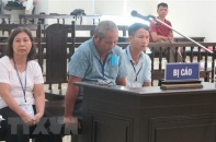 Vụ làm giả sổ đỏ Ba Vì: Luật sư kiến nghị hủy án sơ thẩm