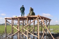 Việt Nam không có ca mắc COVID-19 mới, 805 ca đã được điều trị khỏi