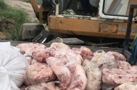 Đồng Nai liên tiếp phát hiện số lượng lớn thịt lợn đã bốc mùi hôi thối