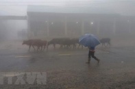 Bắc và Trung Bộ mưa, trời lạnh, vùng núi cao có nơi dưới 12 độ C