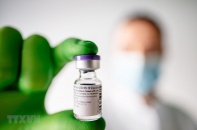 WHO đàm phán với Pfizer để sớm phân phối vắcxin COVID-19 trên toàn cầu