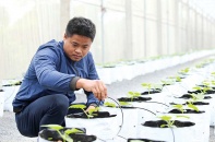 Gặp chàng tỷ phú dưa lưới nổi tiếng Hà thành