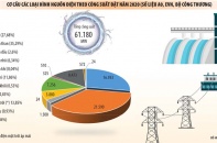 Nỗi lo sau sự thăng hoa của năng lượng tái tạo