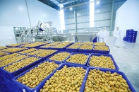 Doanh nghiệp Việt Nam năm 2021: Những trải nghiệm quý báu và bài học vượt lên sau bão