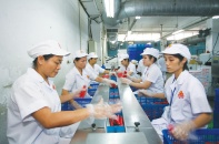 Vissan: Đối mặt với thách thức vì chậm thay đổi
