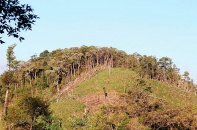 Sáng 21/2, Việt Nam không ghi nhận ca mắc COVID-19 mới, cách ly 124.000 người