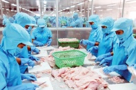 Nhiều doanh nghiệp lớn chuyển dịch ghế nóng nhân sự