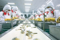 Sốt ruột với cấp mã số ao nuôi tôm