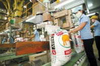 Thị trường thức ăn chăn nuôi: Bấp bênh vì phụ thuộc nhập khẩu