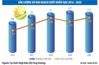 Giải mã đà tăng của giá gạo xuất khẩu