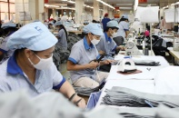 Doanh nghiệp đặt yêu cầu là phải sống, chứ không phải là may mắn sống sót 