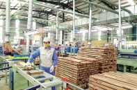Xuất khẩu gỗ kỳ vọng đạt kỷ lục mới