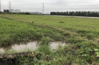 Viết tiếp về Dự án Khu giáo dục Nguyễn Trãi “treo” 15 năm: Nhà đầu tư mong sớm được giải quyết dứt điểm