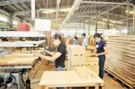 Ngành gỗ: Đề phòng tình trạng giả mạo xuất xứ