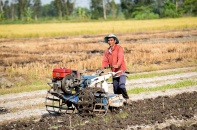 Chuyện dư cung và nhu cầu xuất khẩu urea
