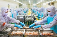 Cà Mau không để đứt gãy chuỗi cung ứng ngành thủy sản