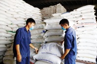 Doanh nghiệp xuất khẩu sang EU ngắm đích mới