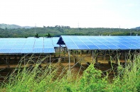 “Cơn lốc” điện mặt trời quét qua, quy hoạch đất đai bị phá nát - Bài 1: “Mọc” trên đất nông nghiệp, “ký sinh” trong khu công nghiệp