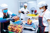 Nâng tầm giá trị sản phẩm nông nghiệp