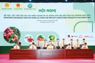 Hải Dương vượt bẫy lợi thế để xác lập vị thế mới