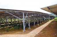 “Cơn lốc” điện mặt trời quét qua, quy hoạch đất đai bị phá nát - Bài 3: “Núp bóng” trang trại