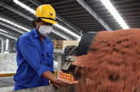 Ưu tiên nguồn phân bón cho sản xuất nông nghiệp   