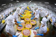Thủy sản tổn thất nặng nề nếu để mất thị trường EU