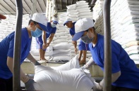 Xuất khẩu gạo gặp khó ở khâu vận chuyển