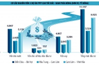 Thu xếp tín dụng - báo động đỏ cho Dự án PPP cao tốc Diễn Châu - Bãi Vọt