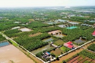 Nâng cao chất lượng sống cho nông thôn Hải Phòng