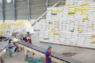 Gập ghềnh con đường xuất khẩu gạo, trái cây, đồ gỗ…