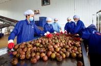 Hàng Việt chinh phục thị trường “khó tính”