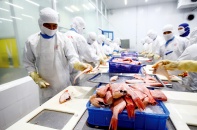 Doanh nghiệp nóng lòng bàn kế hoạch phục hồi xuất, kinh doanh