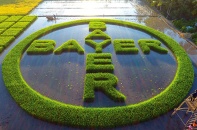 Bayer nỗ lực thực hiện tầm nhìn “Người người khỏe mạnh, Nhà nhà ấm no”
