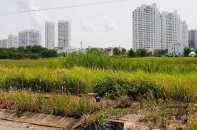 Siết quản lý, loại chủ đầu tư “tay không bắt giặc”   