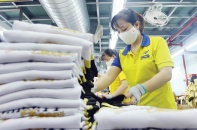 Thiếu lao động, doanh nghiệp khó hồi phục