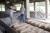 Xuất khẩu xi măng, clinker lập kỷ lục mới