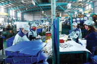 Bắt đầu “tiếp máu” cho doanh nghiệp