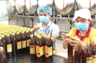 Giải pháp để mật ong xuất khẩu “né” được phòng vệ thương mại