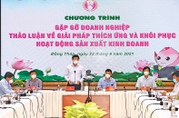 Đồng Tháp: Các mục tiêu lớn, trọng tâm năm 2021 được đảm bảo