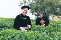 Doanh nhân Hoàng Thị Tân, Giám đốc Hợp tác xã Tâm Trà Thái: Lan tỏa hương thơm “đệ nhất danh trà”