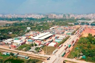 Nông sản tắc biên, doanh nghiệp tổn thất nặng nề