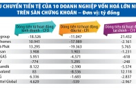 Thời đại dịch, doanh nghiệp co kéo, "vay nợ tương lai"