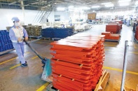 Nông sản Việt bận rộn xuất hàng