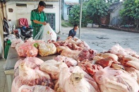 Thực phẩm “bẩn” đến hẹn lại… tung hoành