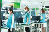 Doanh nghiệp tại Quảng Ninh đẩy nhanh tốc độ sản xuất, kinh doanh