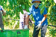 Tiki cam kết xây dựng nền kinh tế số Việt Nam bằng công nghệ “Make In Vietnam”